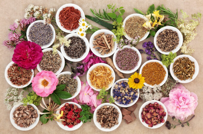 5 Ayurveda Herbs to Keep You Balanced This Fall - The Holistic Highway: Ayurveda Sanctuary - Ayurvedic Meal Plan - Transformational Wellness Program - Dosha Quiz: Vata - Pitta - Kapha - Skincare Quiz