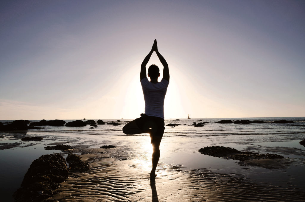 The Holistic Highway: Ayurveda Sanctuary - Ayurvedic Meal Plan - Transformational Wellness Program - Dosha Quiz: Vata - Pitta - Kapha - Skincare Quiz