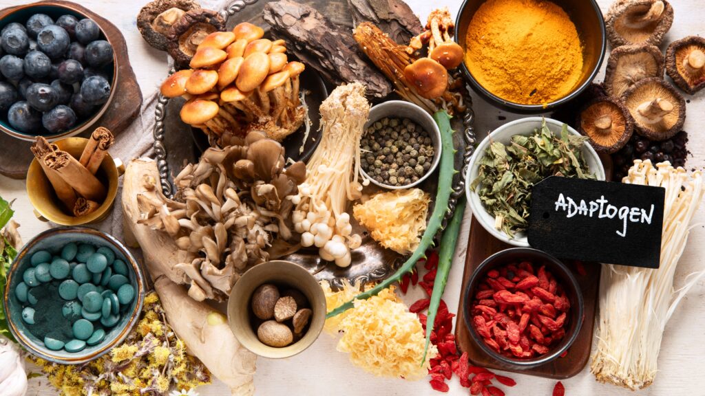 Adaptogens: My Top Ten Favorite For Your Health - The Holistic Highway - Ayurveda