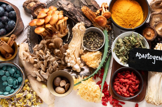 Adaptogens: My Top Ten Favorite For Your Health - The Holistic Highway - Ayurveda