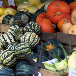 Fall Squash: The Many Benefits - The Holistic Highway Ayurveda