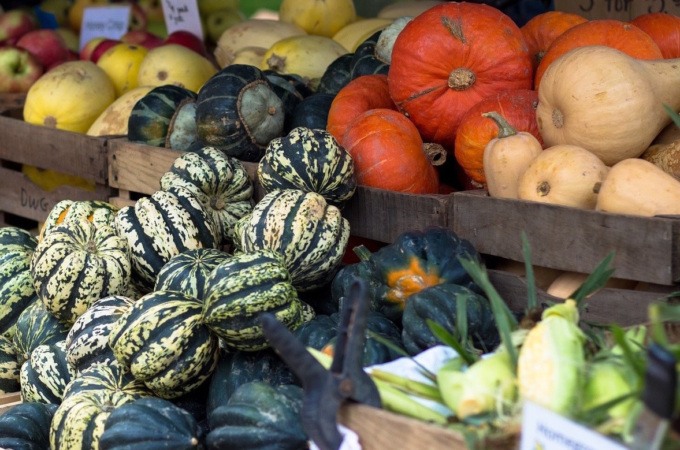 Fall Squash: The Many Benefits - The Holistic Highway Ayurveda