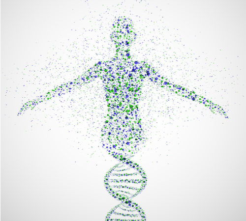 DNA Testing - What My Genetic Profile Told Me - The Holistic Highway