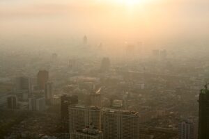 5 Steps to Shield Against Air Pollution - The Holistic Highway