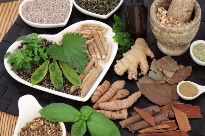 Top 3 Best Herbs for Heart Health: Ayurveda's Healing Touch - The Holistic Highway