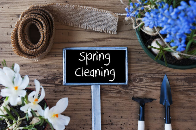 Spring Cleaning For Mental Clutter: The Holistic Highway - Ayurveda