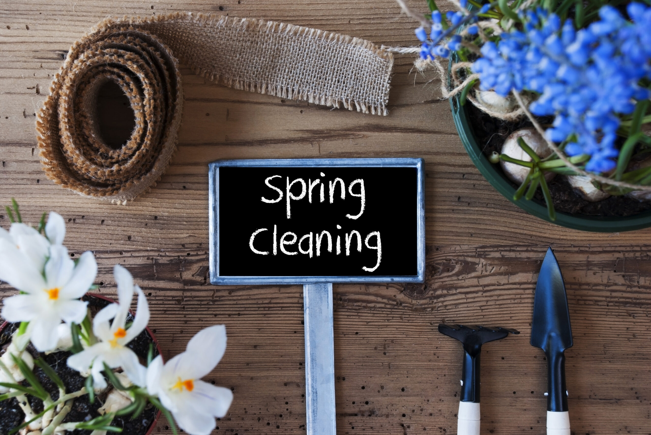 Spring Cleaning For Mental Clutter: The Holistic Highway - Ayurveda