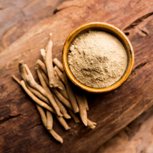 Herbs That Heal: Is Ashwagandha Good for Everyone? - Ashwagandha Plant - Ashwagandha Herb - Best Ashwagandha - Ashwagandha benefits for female - The Holistic Highway