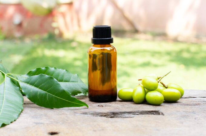 Herbs That Heal: Neem - The Holistic Highway - Ayurveda